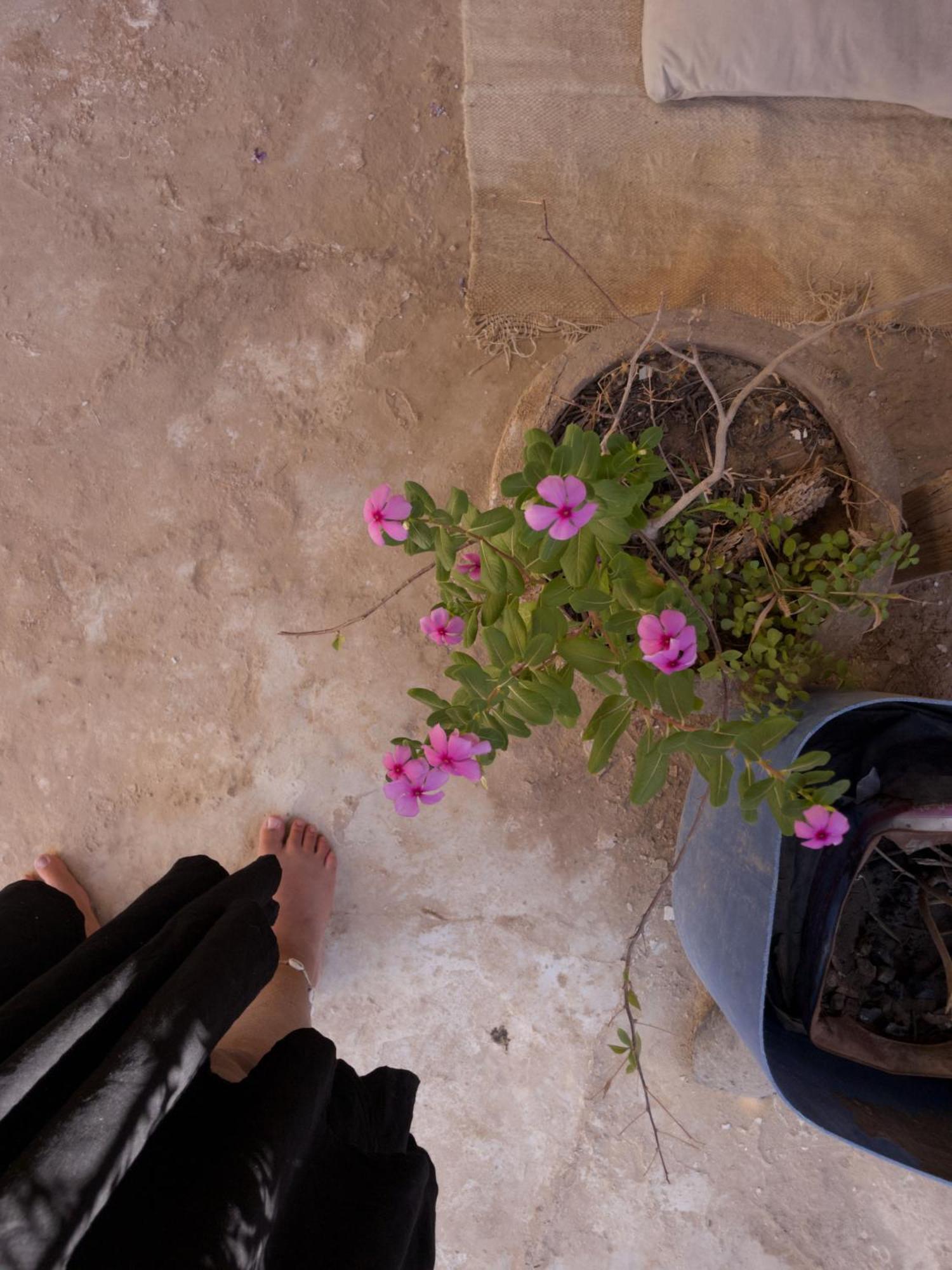 Baben Home Siwa Oasis Eksteriør bilde