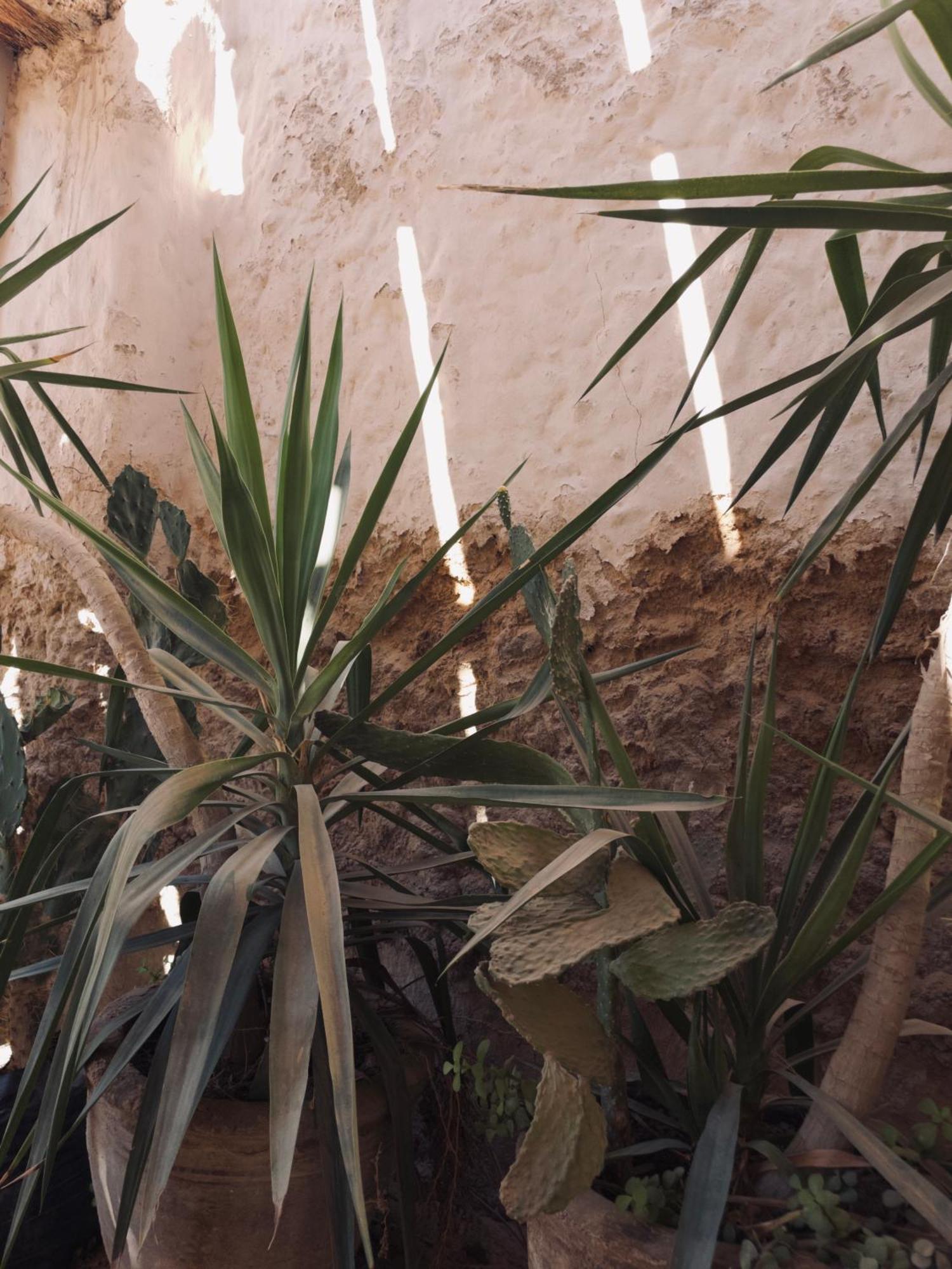 Baben Home Siwa Oasis Eksteriør bilde
